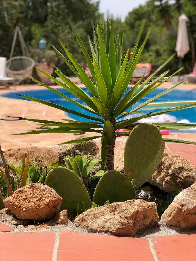 别墅 聖安東尼奧Micasa Ibiza别墅