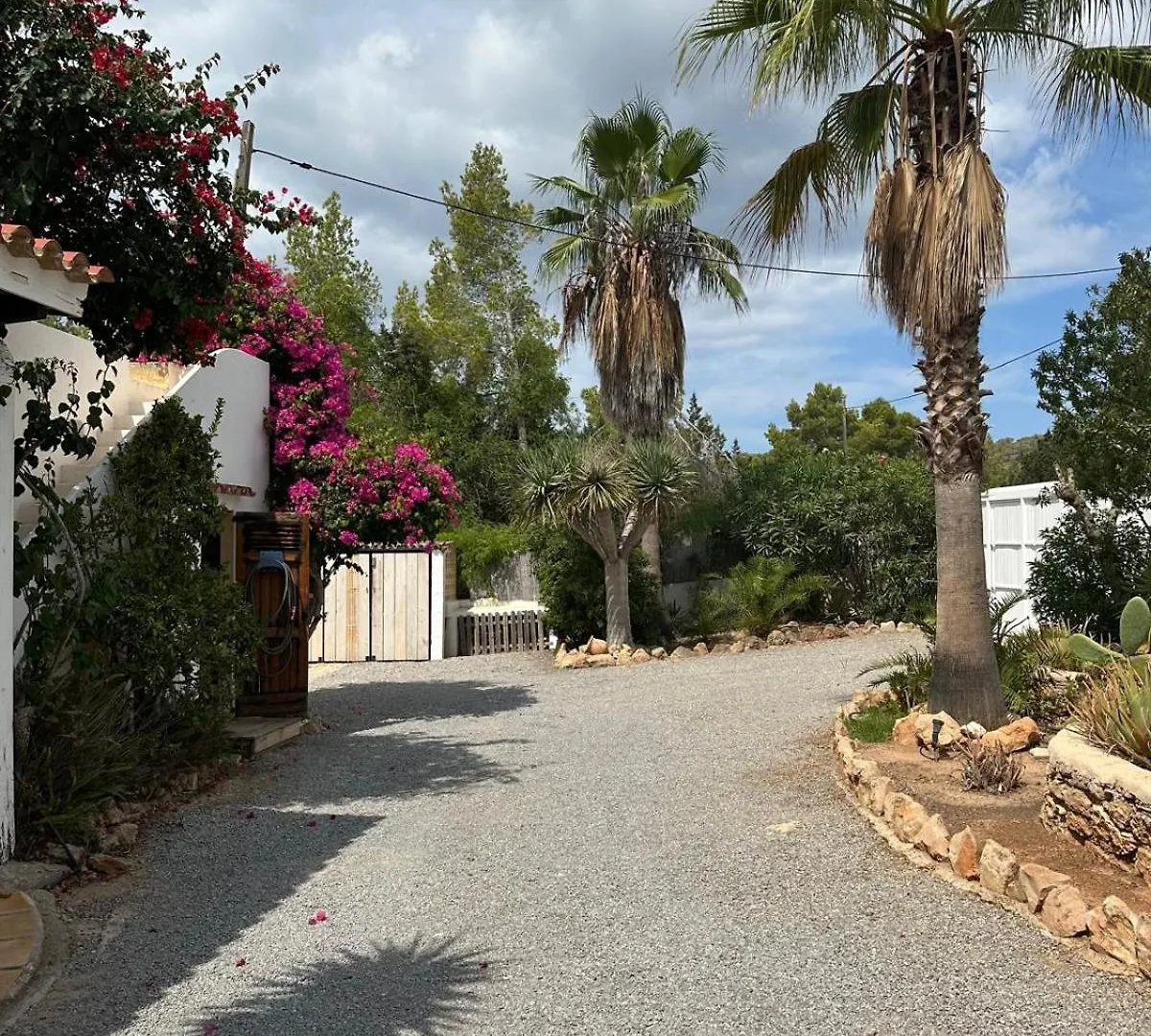 Micasa Ibiza Villa San Antonio